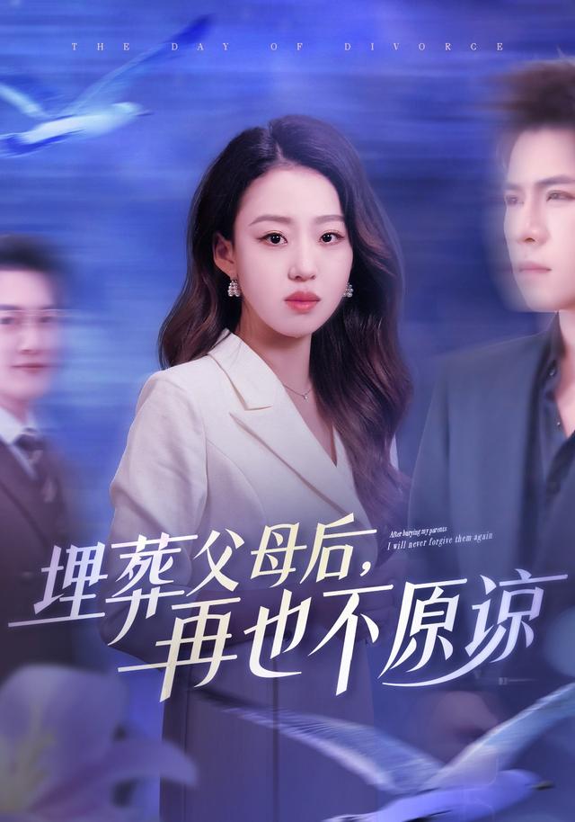 埋葬父母后，再也不原谅海报